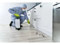 get-rid-of-pests-for-good-with-our-pest-control-in-abu-dhabi-small-0