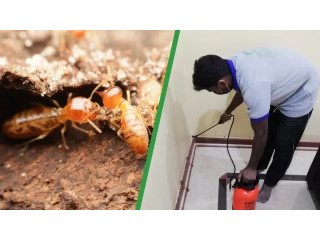 Protect Your Home: Anti-Termite Control Dubai Book Today!