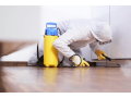 quick-affordable-pest-control-services-in-dubai-call-us-small-0