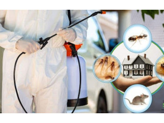 Pest Control Dubai Safe & Reliable Services! Call Now