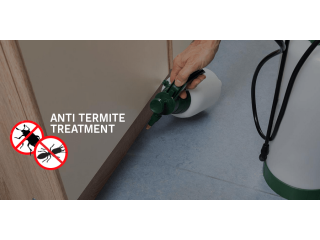 Anti-Termite Control Dubai Secure Your Property Today!