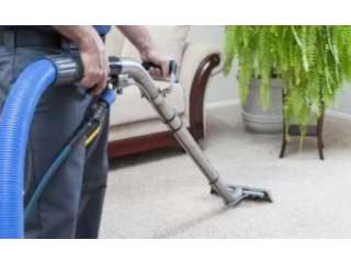 Top-Rated Carpet Cleaning Services in Melbourne