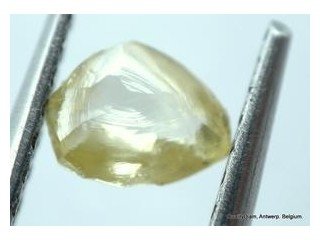 Rough cut diamonds for sale online - Qualitydiam