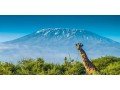 mt-kilimanjaro-climbing-trekking-and-hiking-tours-small-4