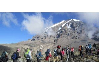 Mt Kilimanjaro Climbing, Trekking and Hiking Tours