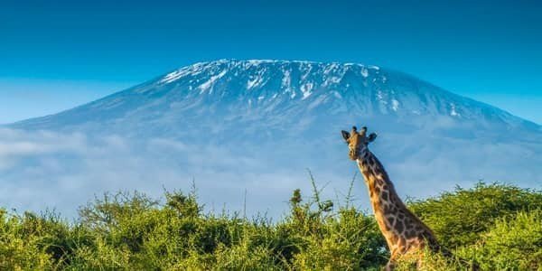 mt-kilimanjaro-climbing-trekking-and-hiking-tours-big-4