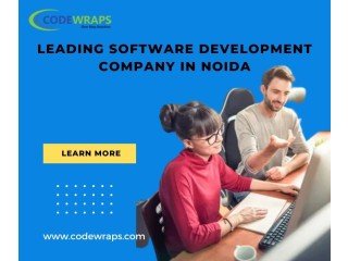 Leading Software Development Company In Noida