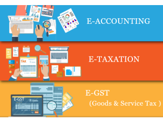 Best Online Accounting Certification in Delhi, Kirti Nagar, SLA Institute, Tally, GST, SAP FICO Course with 100% Job