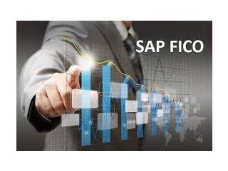 Best Institute for SAP FICO Certification Course in Delhi, Noida & Gurgaon with Placement - SLA Consultants India