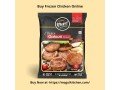 chicken-galouti-kebab-shop-for-frozen-snacks-small-0