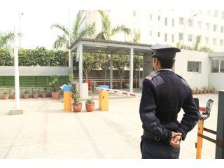 Choose the Best Security Guard Company in Delhi | Verve Security