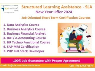 Microsoft MIS Training Course, Delhi, Noida, Ghaziabad, 100% Job[2024] - SLA Analytics and Data Science Institute,