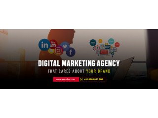 Webclixs| Digital Marketing Agency In Noida.