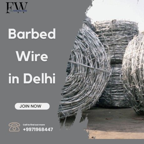 barbed-wire-in-delhi-big-0