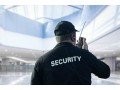 choose-the-right-security-guard-company-in-delhi-small-0