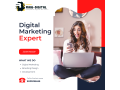 digital-marketing-company-in-jaipur-raw-digital-small-0