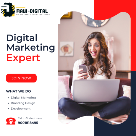 digital-marketing-company-in-jaipur-raw-digital-big-0