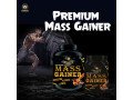 premium-mass-gainer-adds-impact-on-body-builder-small-0