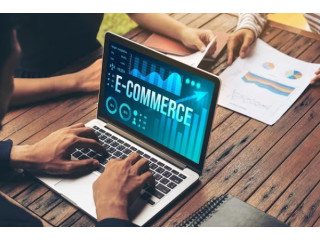 Ecommerce Website Designing Company In Delhi