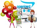 reliable-opencart-development-services-in-delhi-call-today-small-0