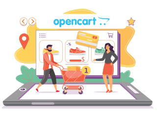 Custom Opencart Website Solutions in Delhi Contact Us!