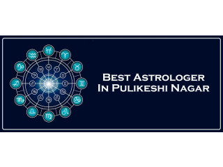 Best Astrologer In Pulikeshi Nagar