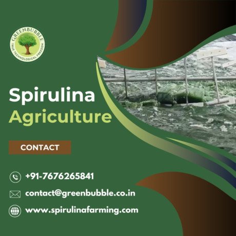 spirulina-agriculture-organic-and-sustainable-farming-solutions-big-0