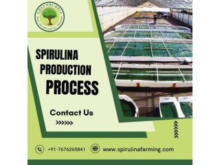 Spirulina Production Process | Step-by-Step Spirulina Cultivation