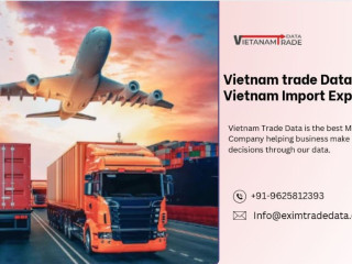 vietnam-auto-level-imports-data-2024