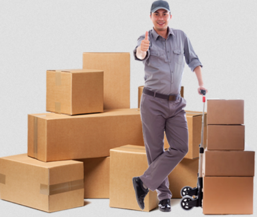 best-packers-and-movers-in-ahmedabad-gujarat-big-0