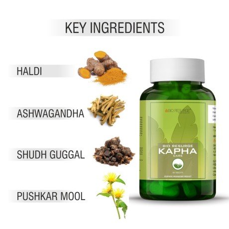 kapha-balance-medicine-big-0