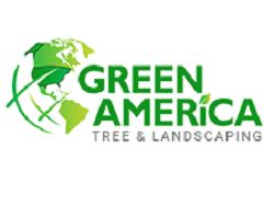 green-america-tree-landscaping