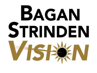 bagan-strinden-vision