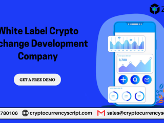 time-to-empower-your-white-label-crypto-exchange-development